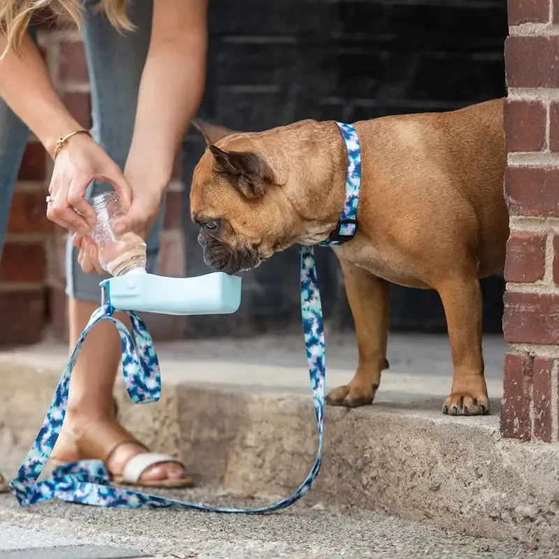 blue travel dog water bottle