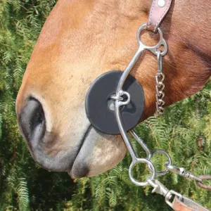 BRITTANY MED SHANK SNAFFLE