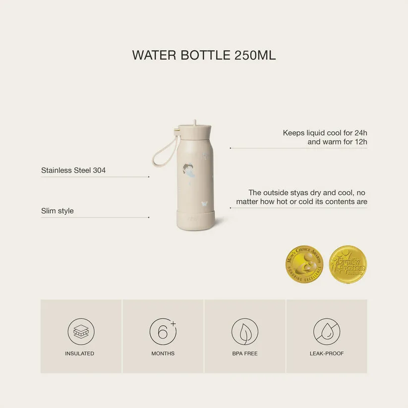 Citron 250ml Water Bottle - Ballerina
