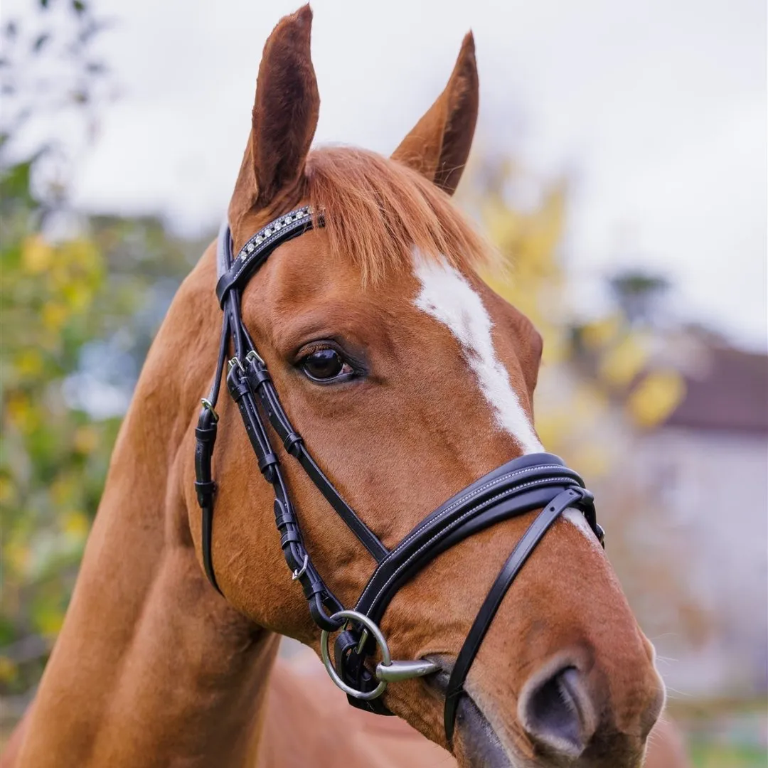 Comfort Show Bridle | Dressage