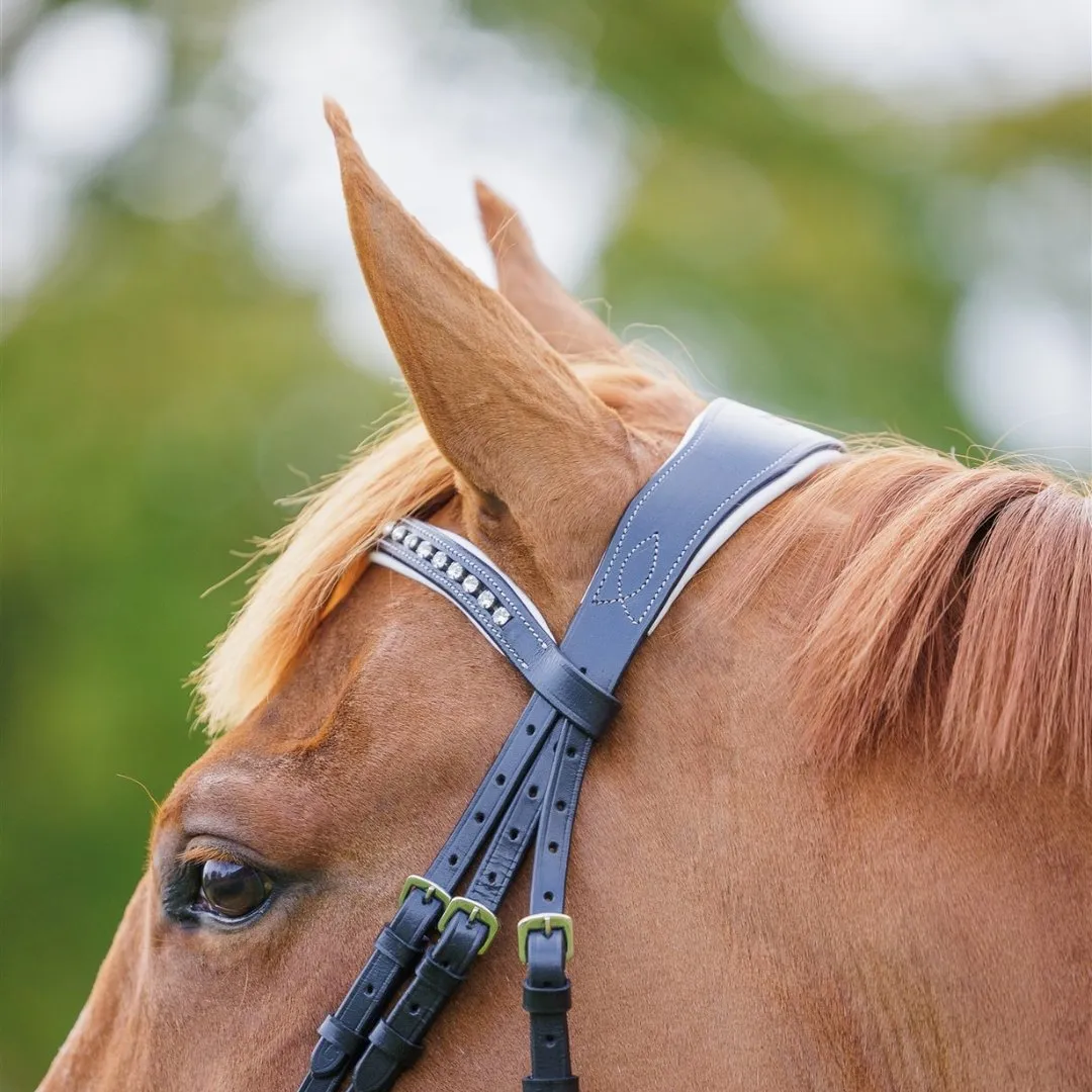 Comfort Show Bridle | Dressage