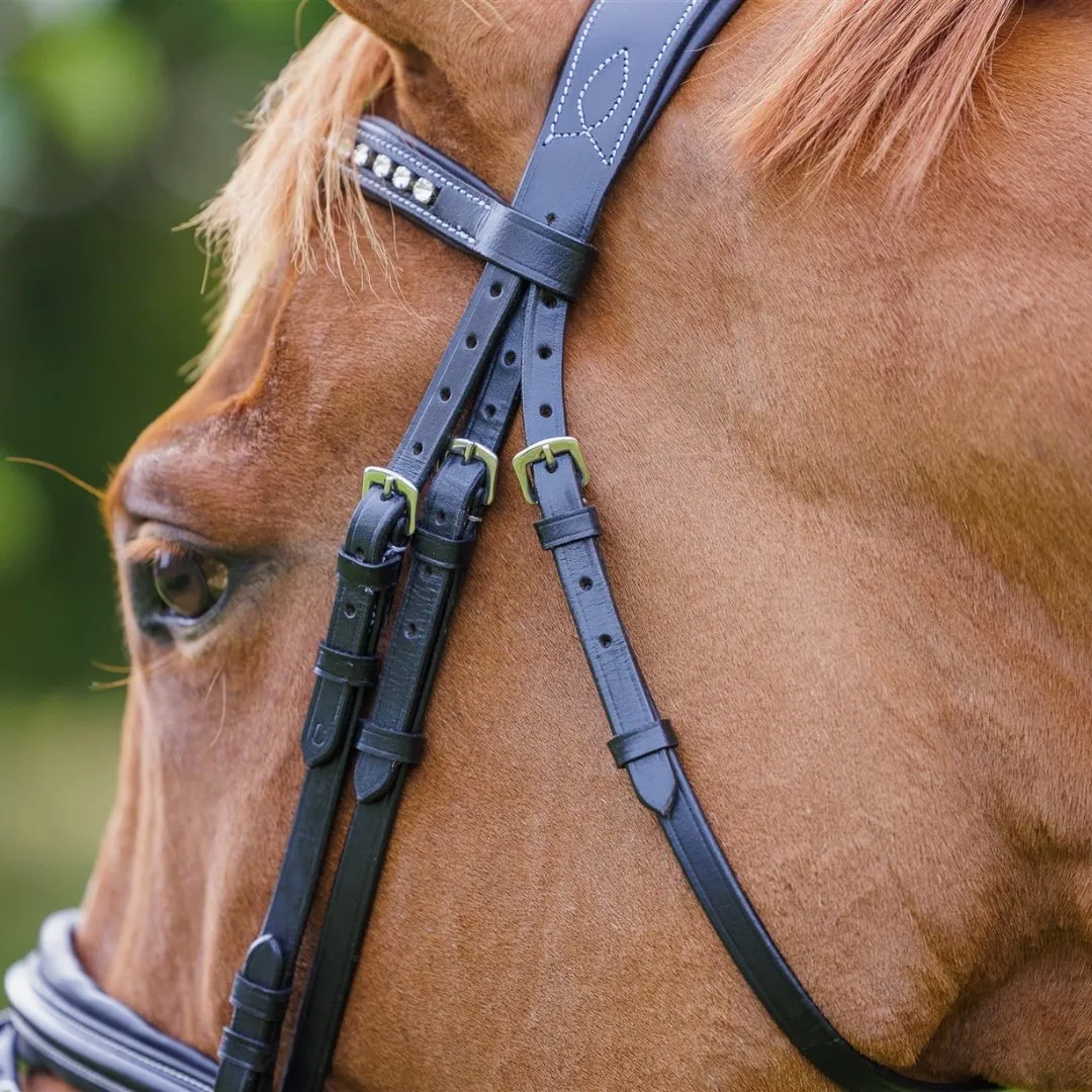 Comfort Show Bridle | Dressage