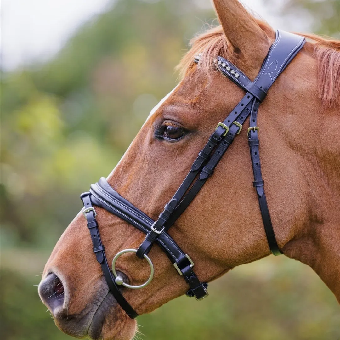 Comfort Show Bridle | Dressage