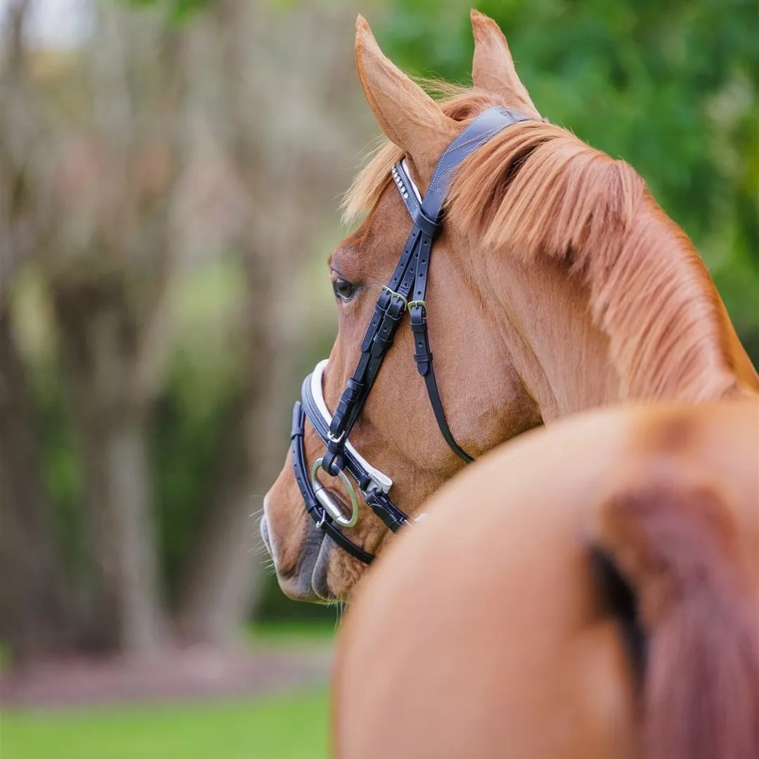 Comfort Show Bridle | Dressage