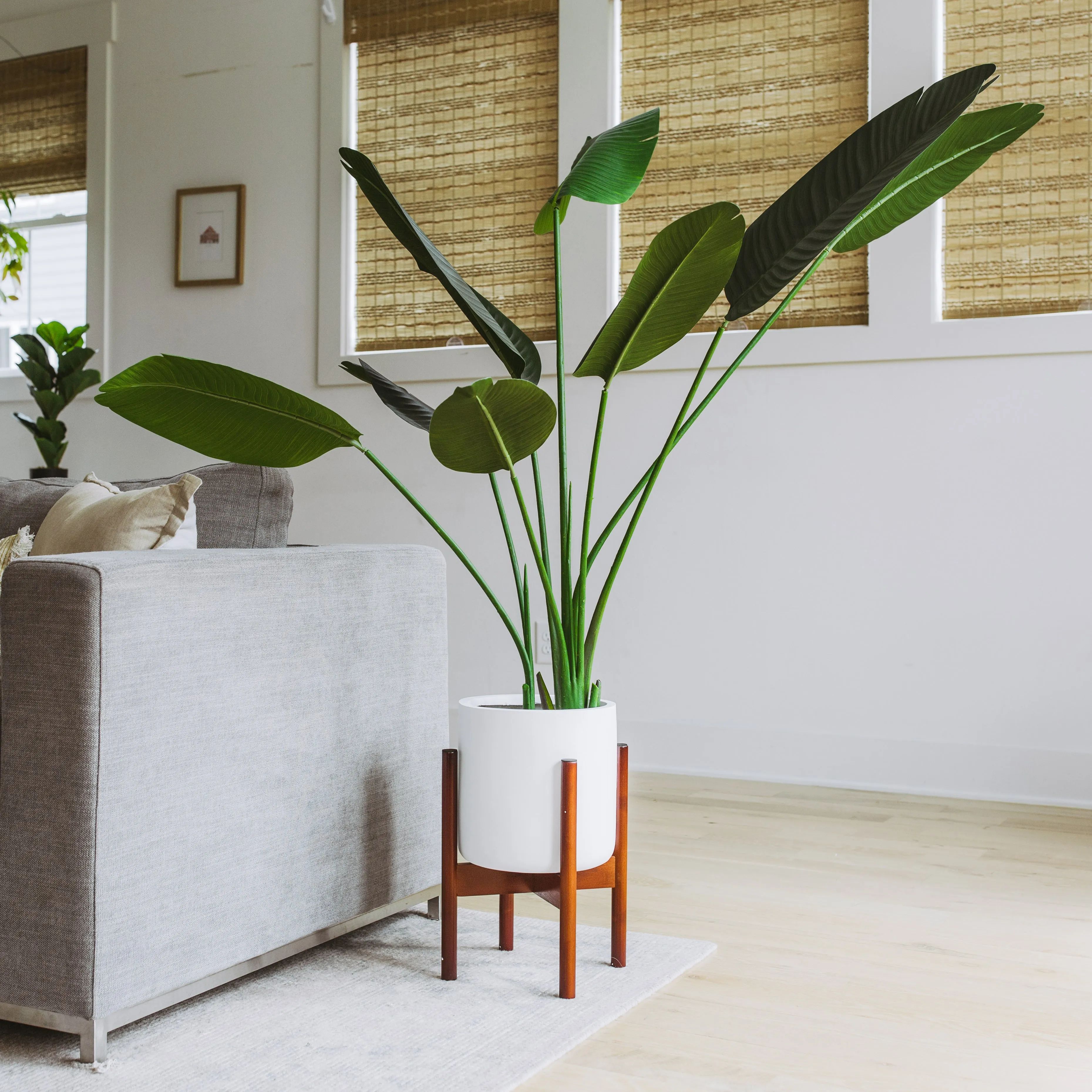 Faux Bird of Paradise 5 Feet