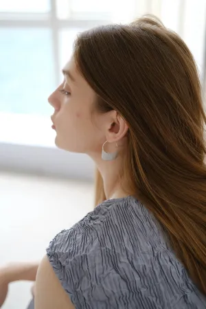 French Brushed Special-Shaped Ear Hooks
