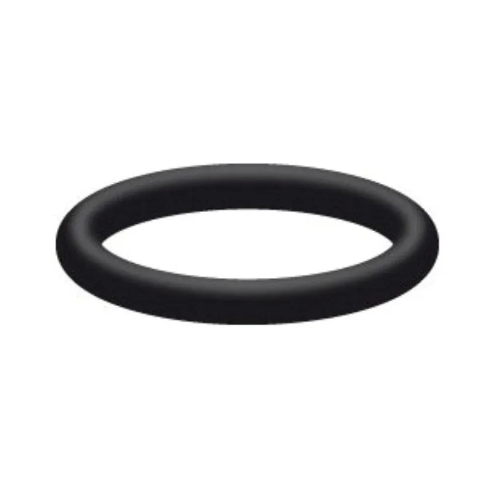 Interpump | O-Ring for Valve Cap | 90.3847.00