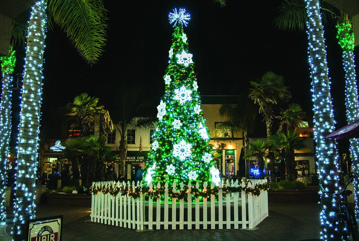 LED Ropelight Radiant Snowflake - 30", 40", 50"