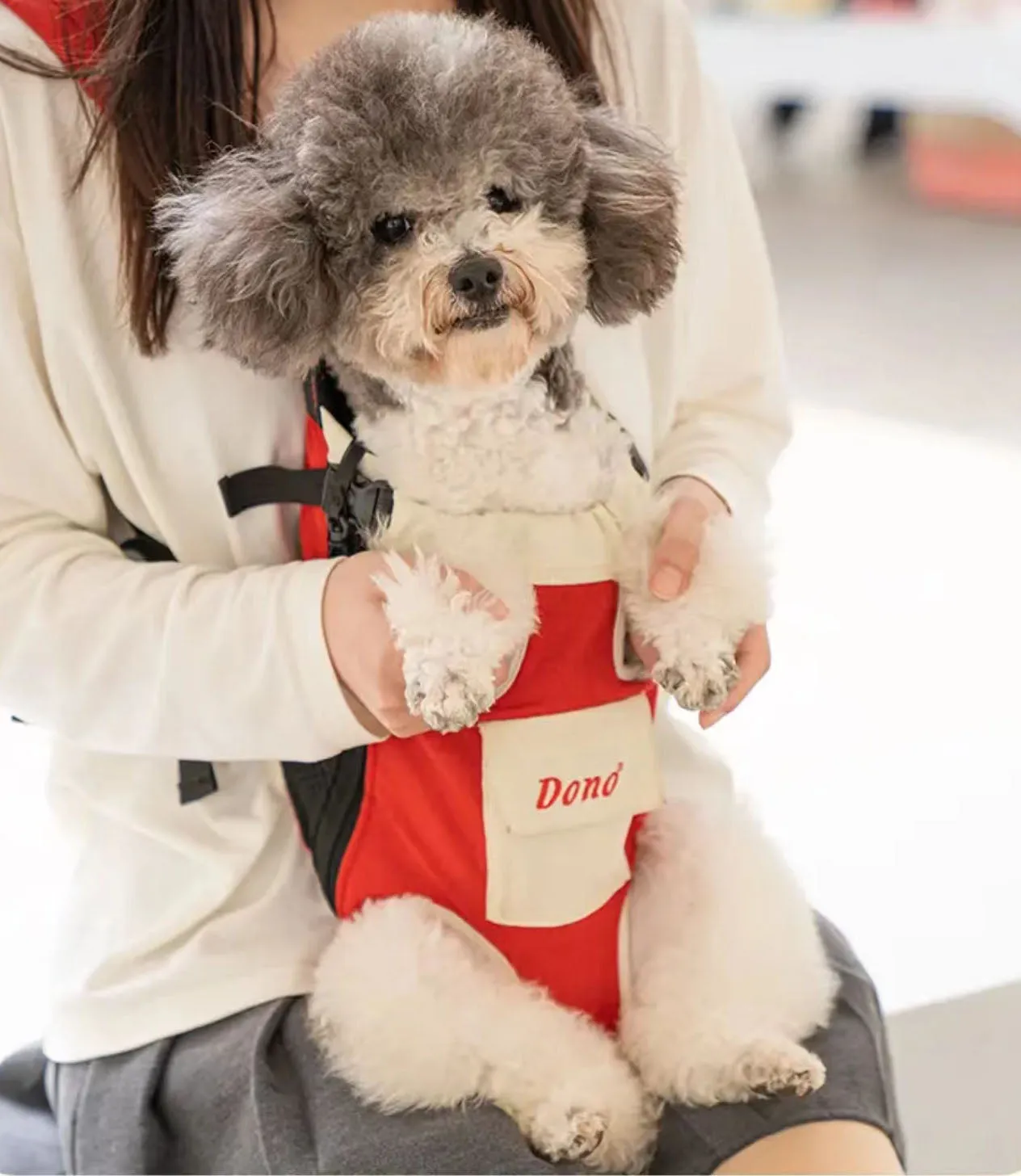 Legs Out Dog Cat Carrier Backpack