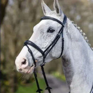 LeMieux Competition Flash Bridle