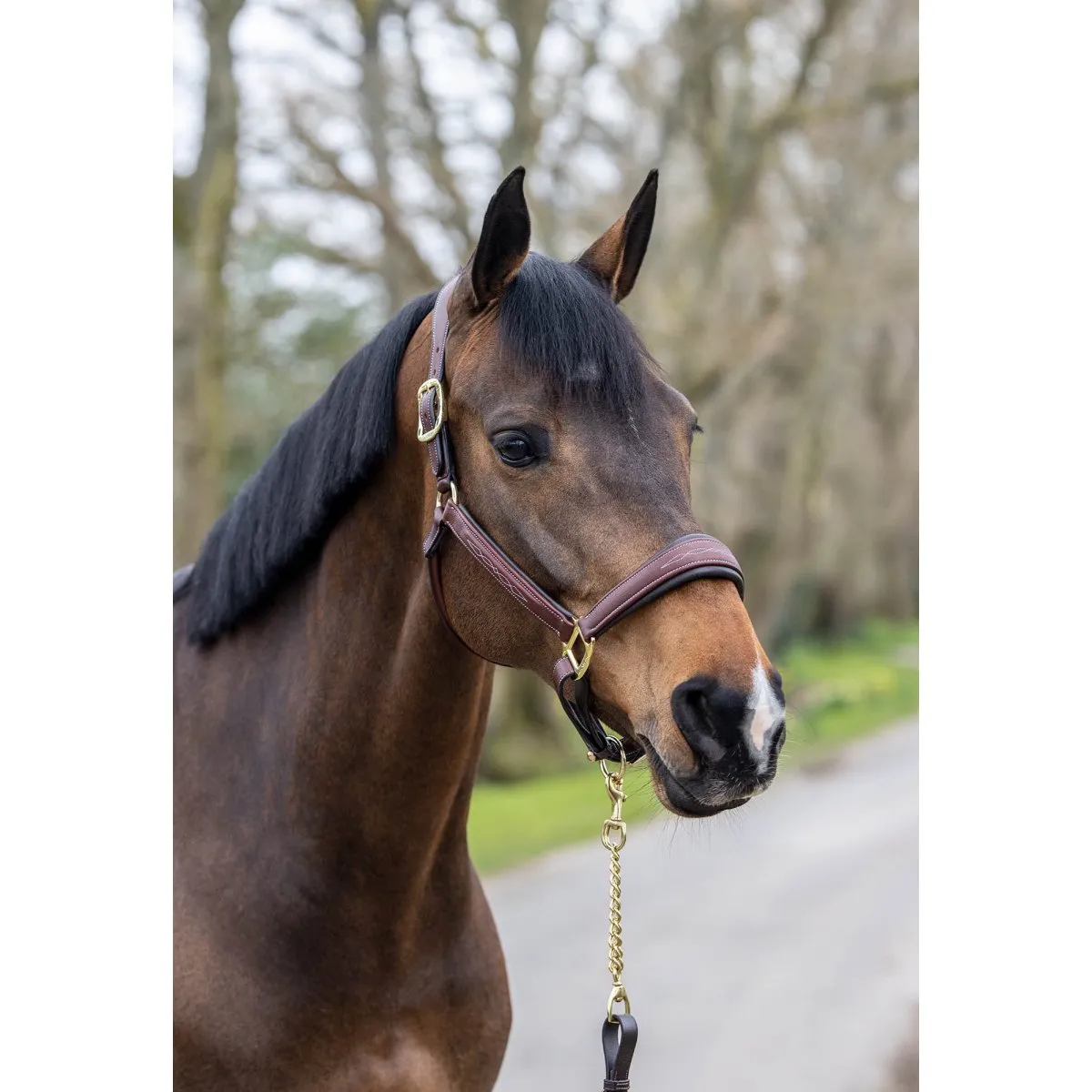 LeMieux Leather Stitch Headcollar