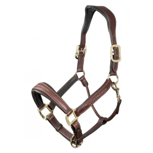 LeMieux Leather Stitch Headcollar