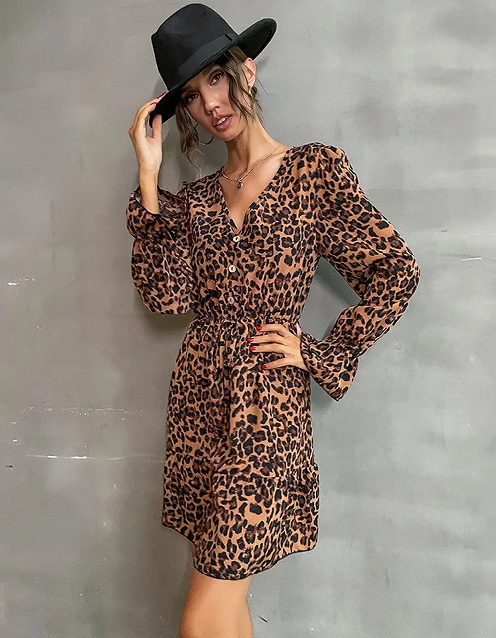 Leopard Printed Long Sleeve VNeck High Waist Short A-Line Dresses