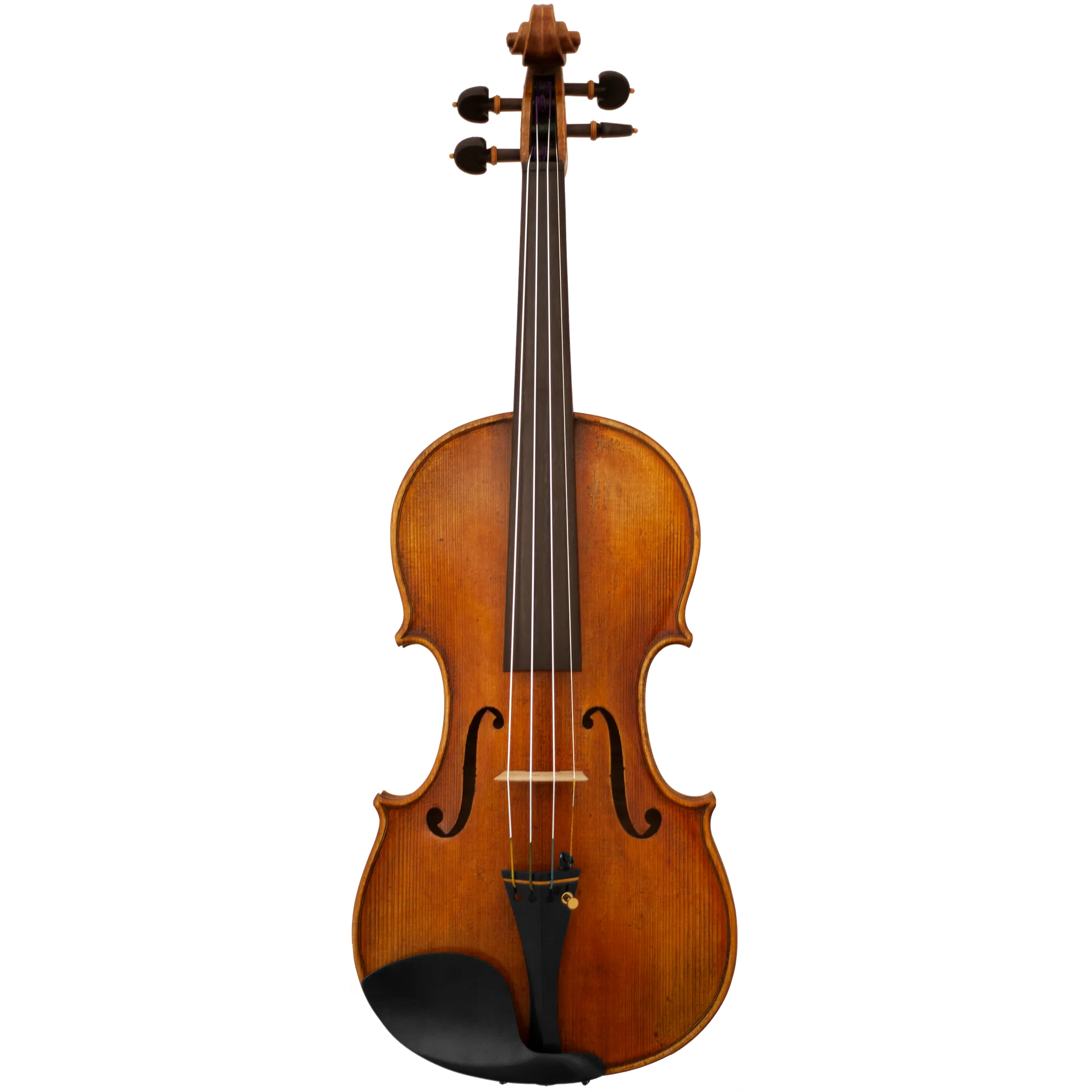 Master Lucienne Maple Leaf Strings Professional Viola with Case