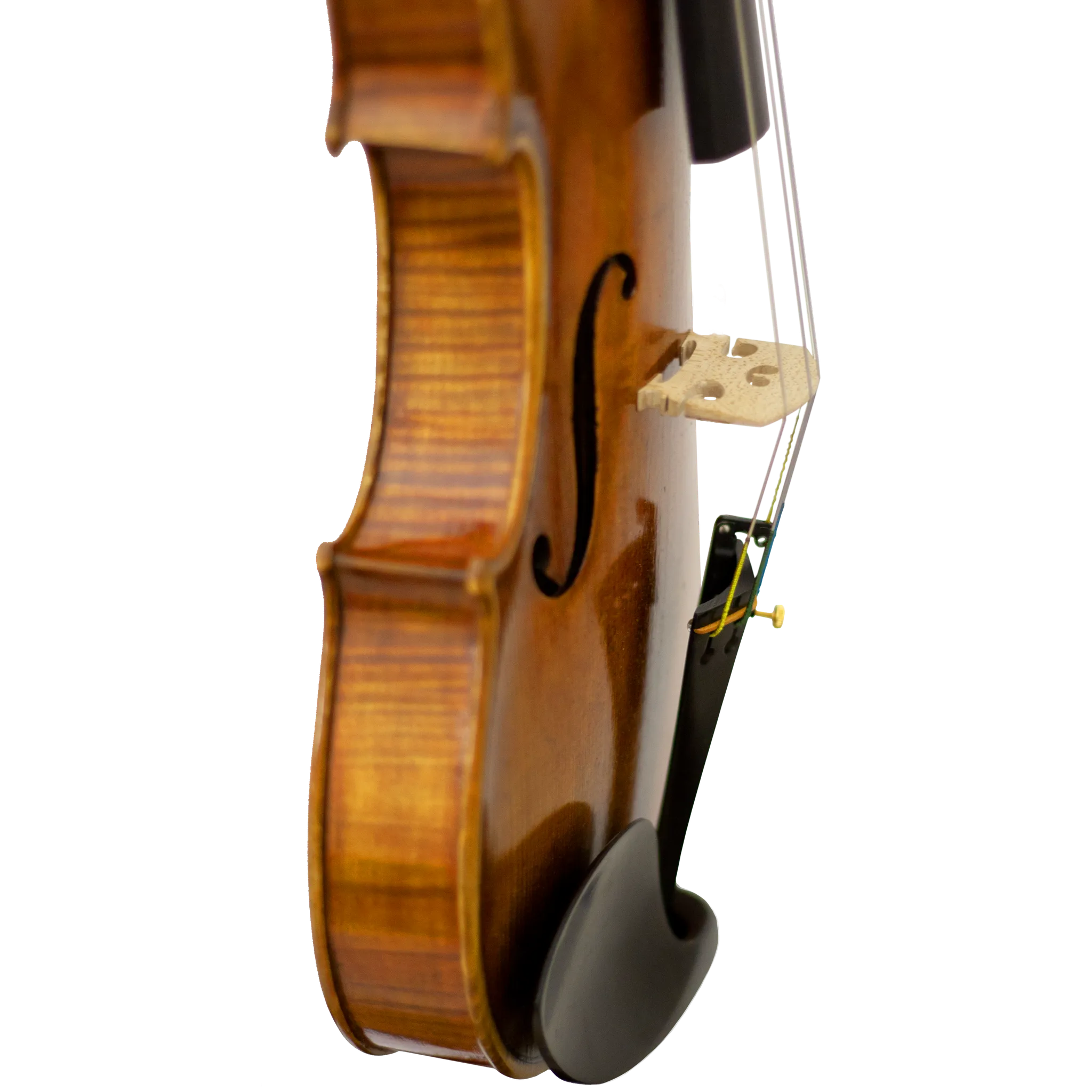 Master Lucienne Maple Leaf Strings Professional Violin with Case