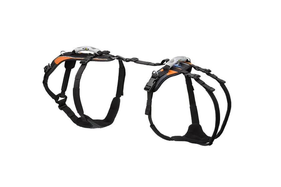 Medium Conventional Harness