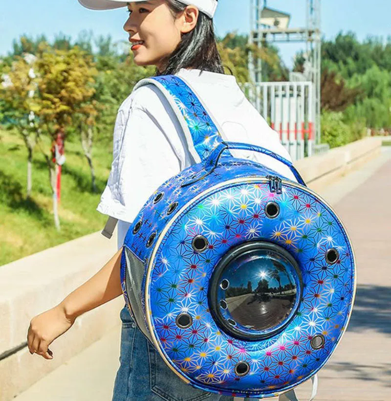New personality breathable pet backpack