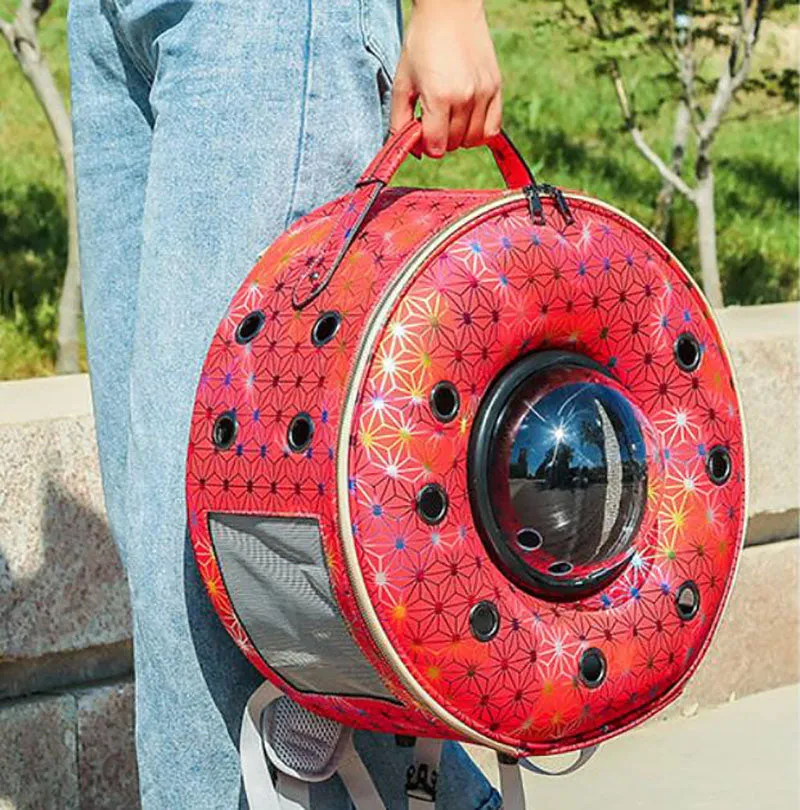 New personality breathable pet backpack