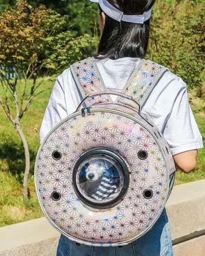 New personality breathable pet backpack