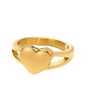 Pre Order:  Titanium Steel Heart-Shaped Urn Casting Ring