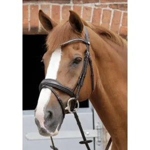 Premier Equine Stellazio Anatomic Bridle with Flash