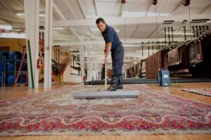 Professional Rug & Carpet Cleaning - Premium