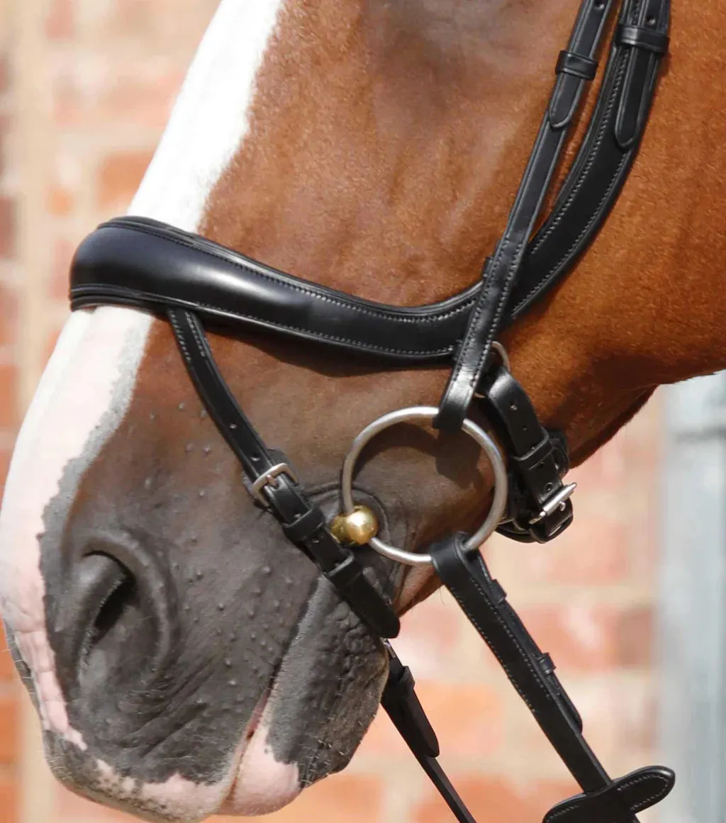 Savuto Anatomic Bridle with Crank Noseband & Flash