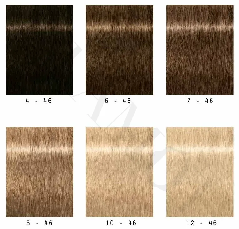 SCHWARZKOPF IGORA ROYAL NUDE TONES