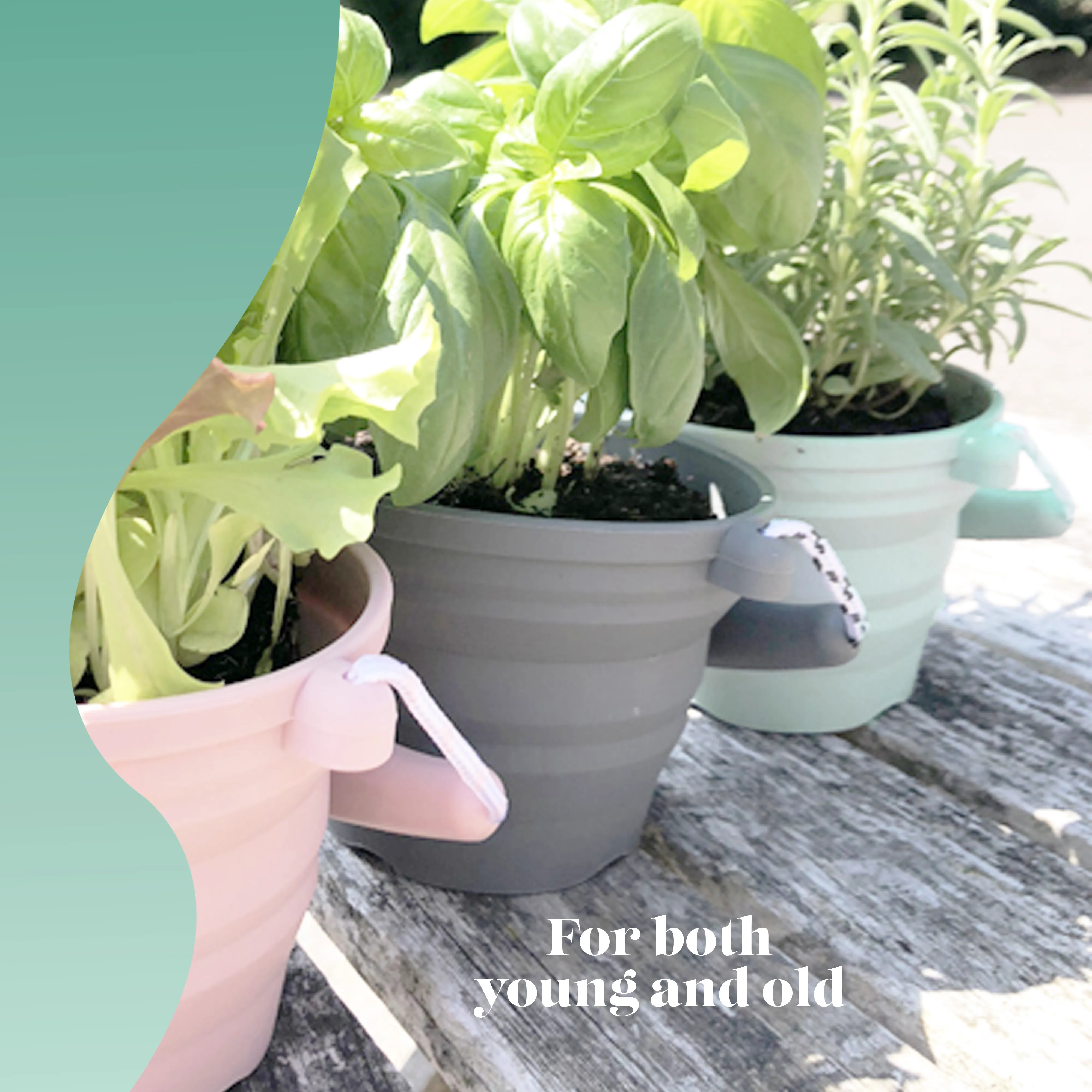 Scrunch - Seedling Pot Mint