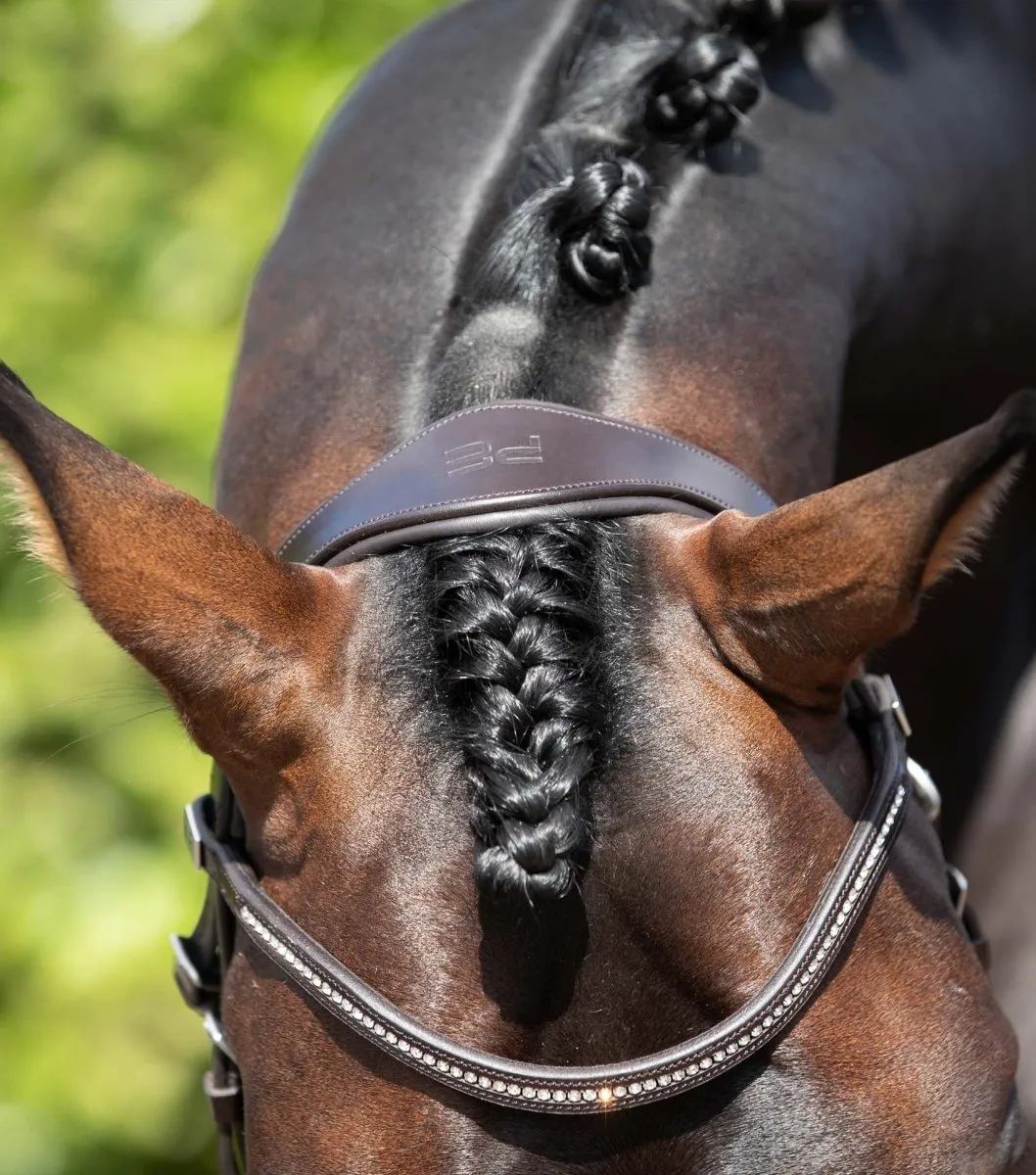 Stellazio Anatomic Snaffle Bridle with Flash
