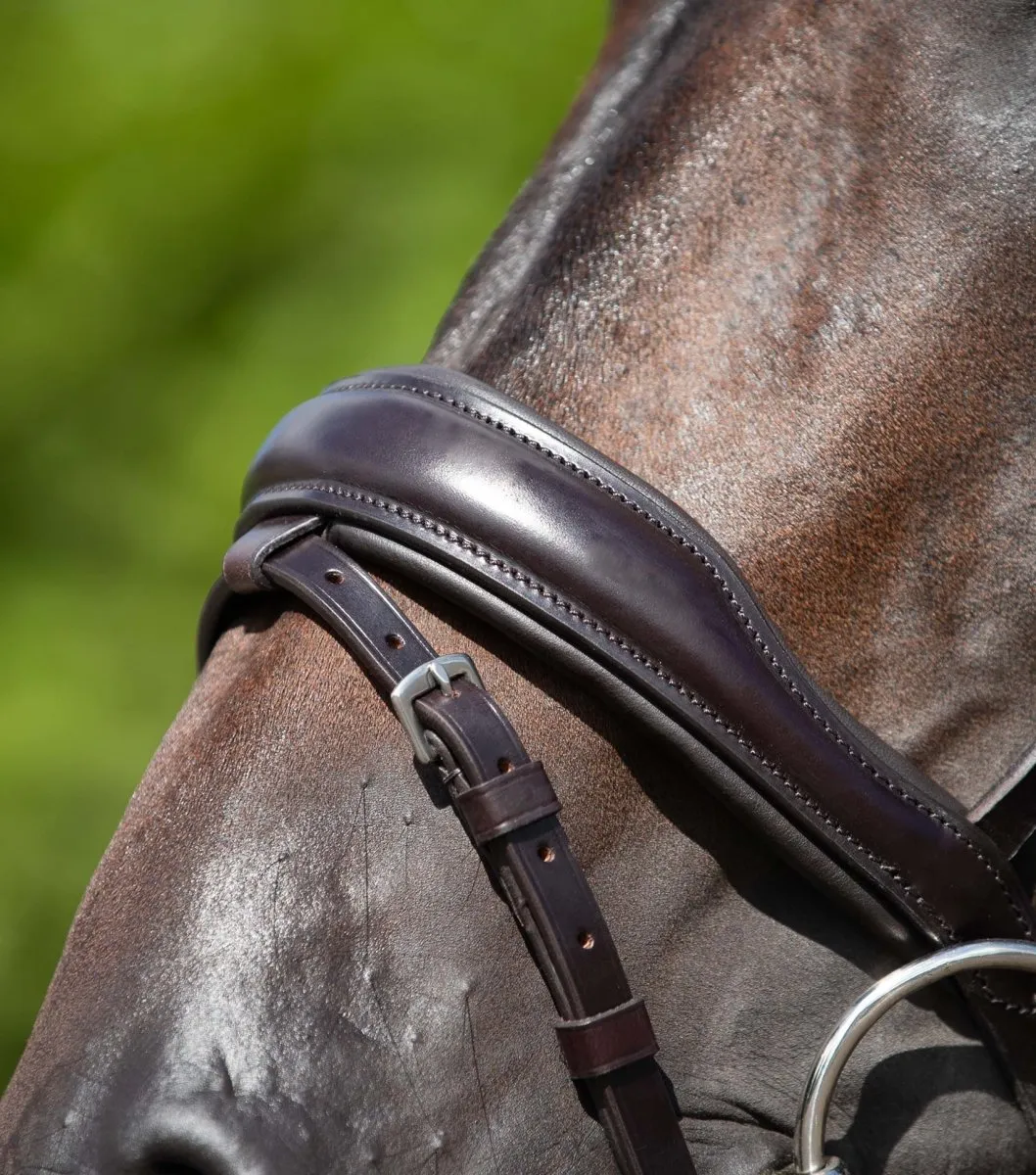 Stellazio Anatomic Snaffle Bridle with Flash