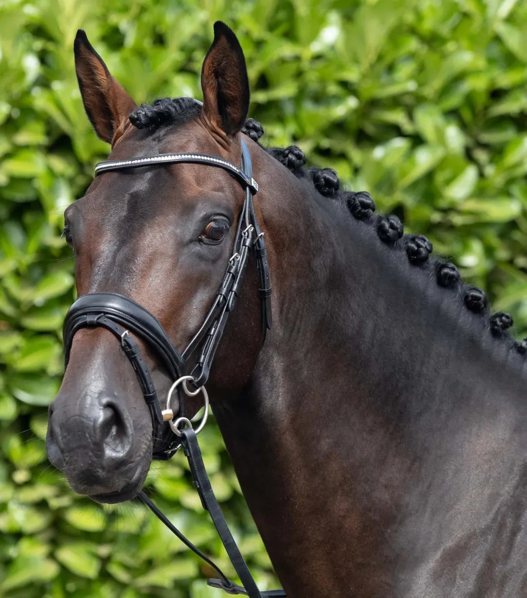 Stellazio Anatomic Snaffle Bridle with Flash