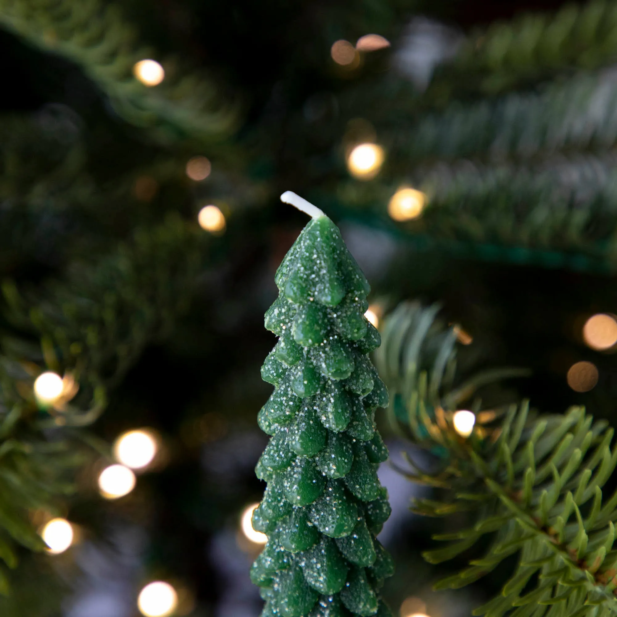 Tree Shaped Taper Candles, Boxed Set of 2 Tapers