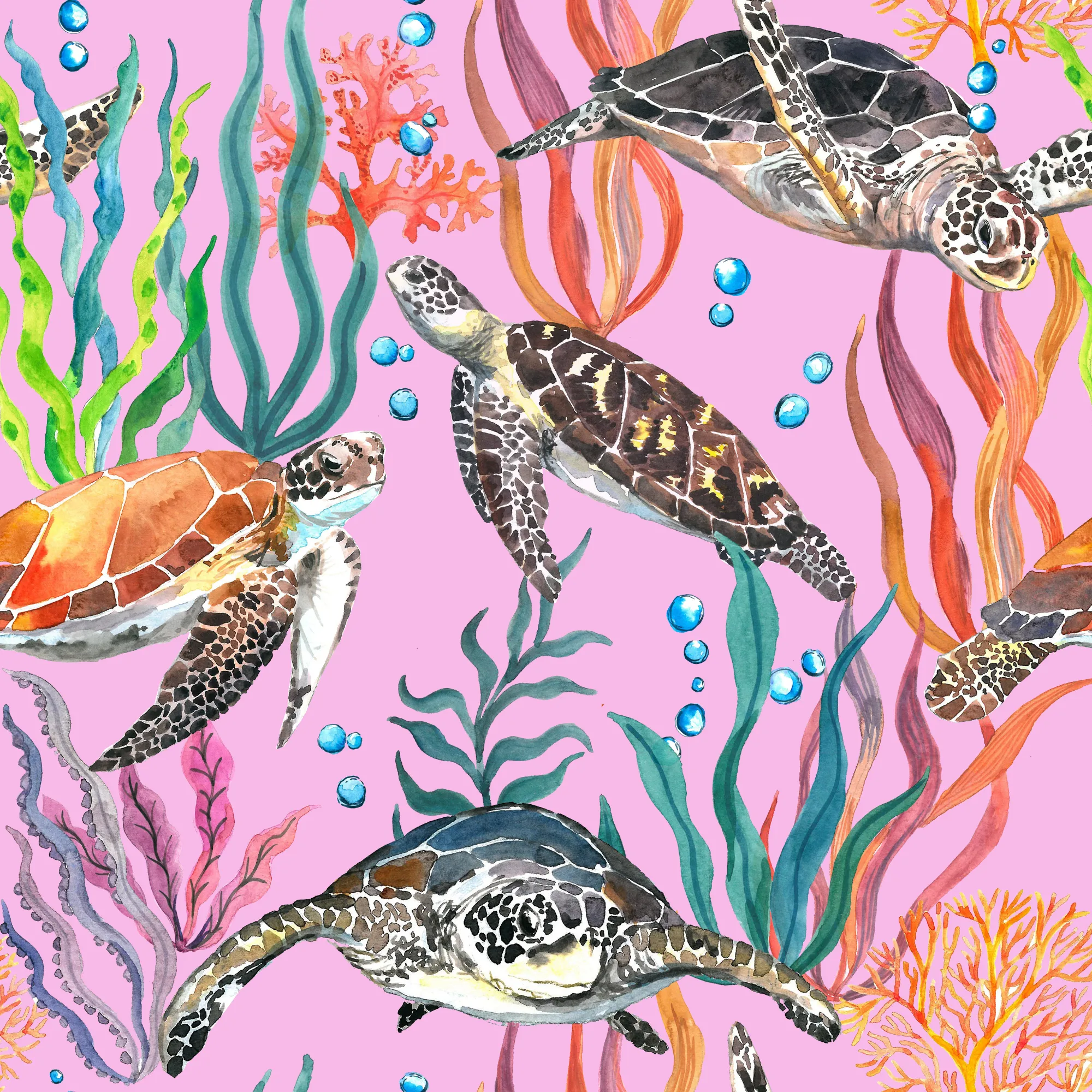 Turtle Cove