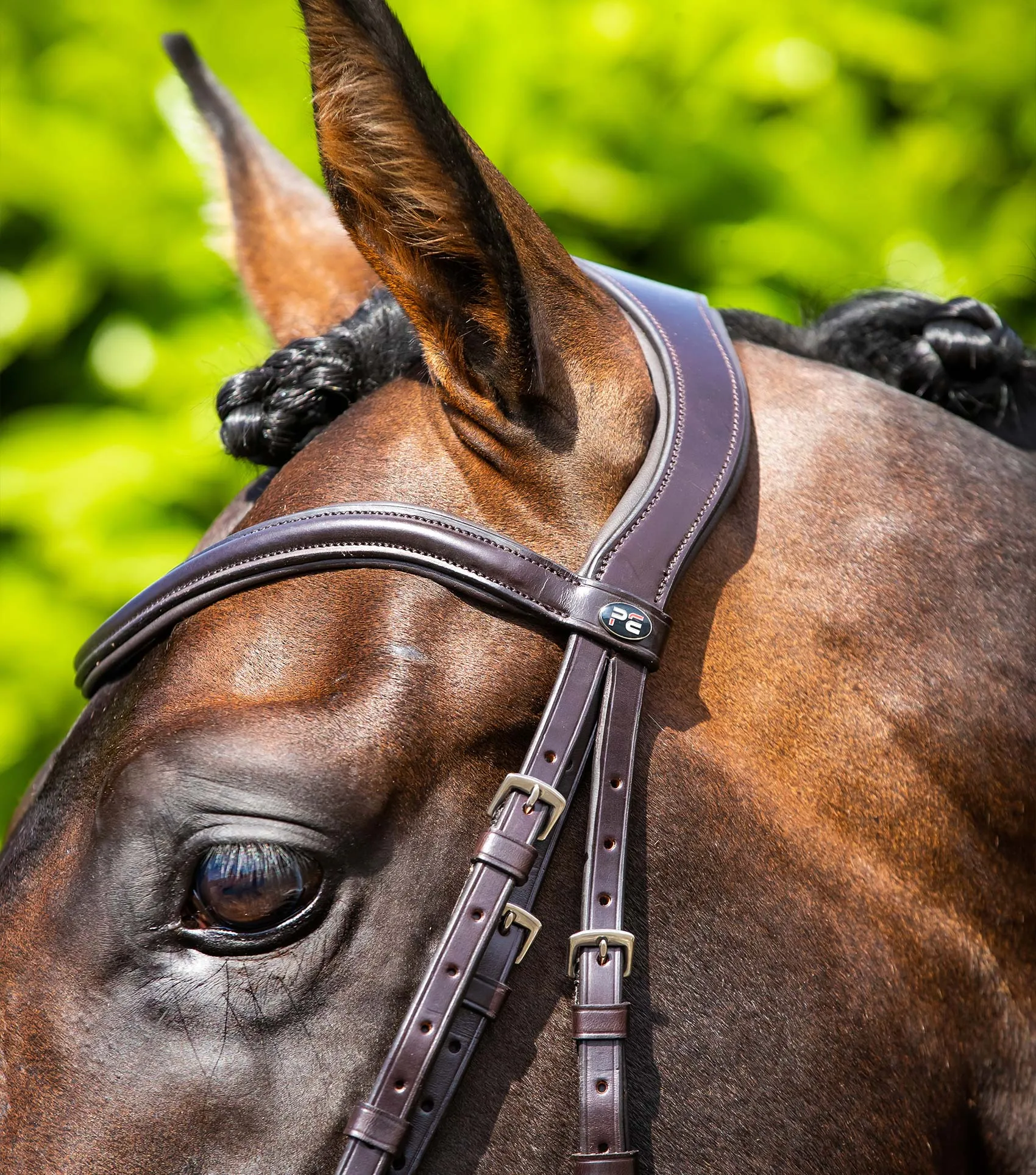 Verdura Anatomic Snaffle Bridle Brown