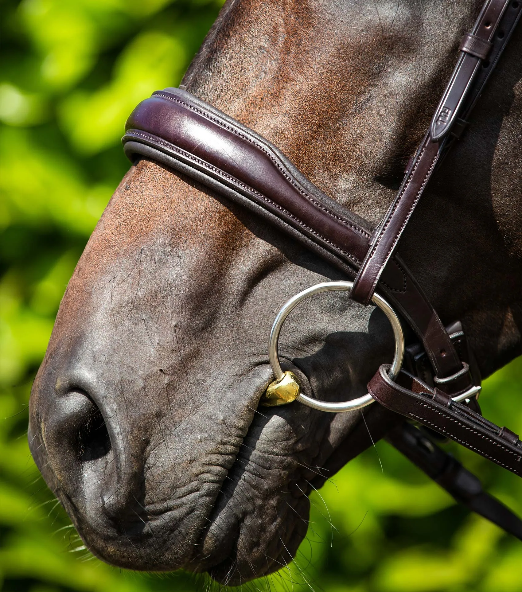 Verdura Anatomic Snaffle Bridle Brown