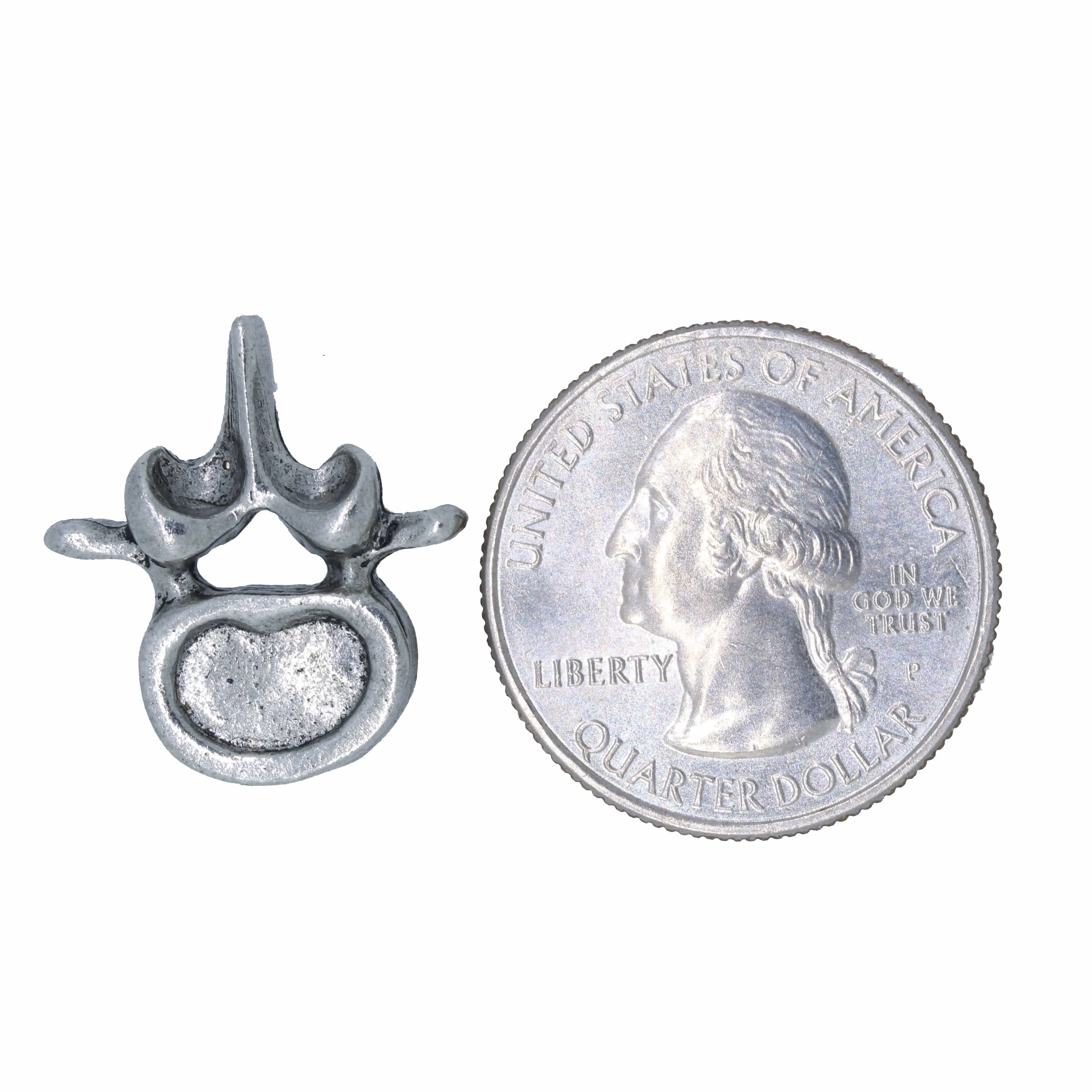 Vertebra Lapel Pin