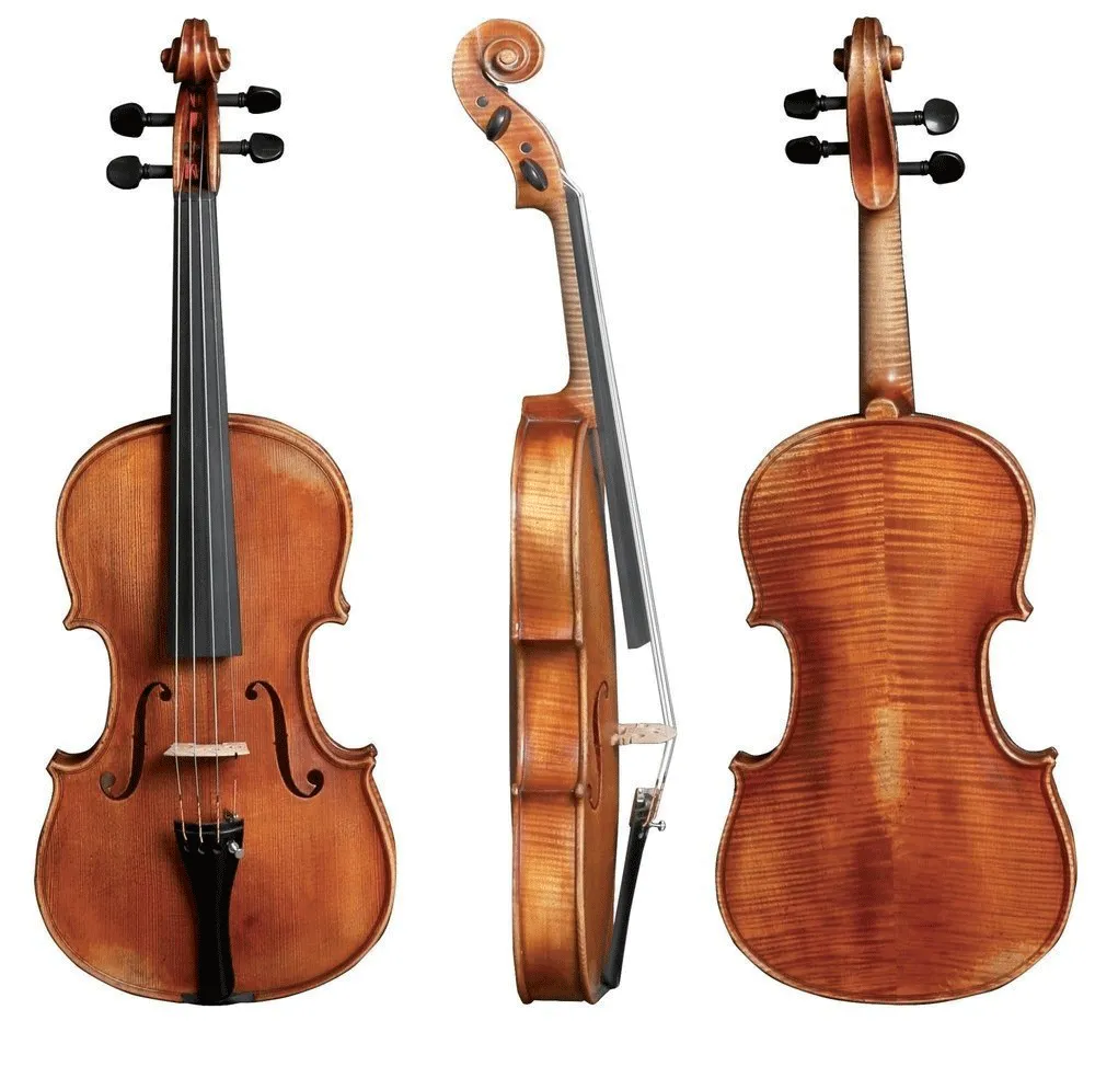 Walther 11 Gewa Professional Viola with Case