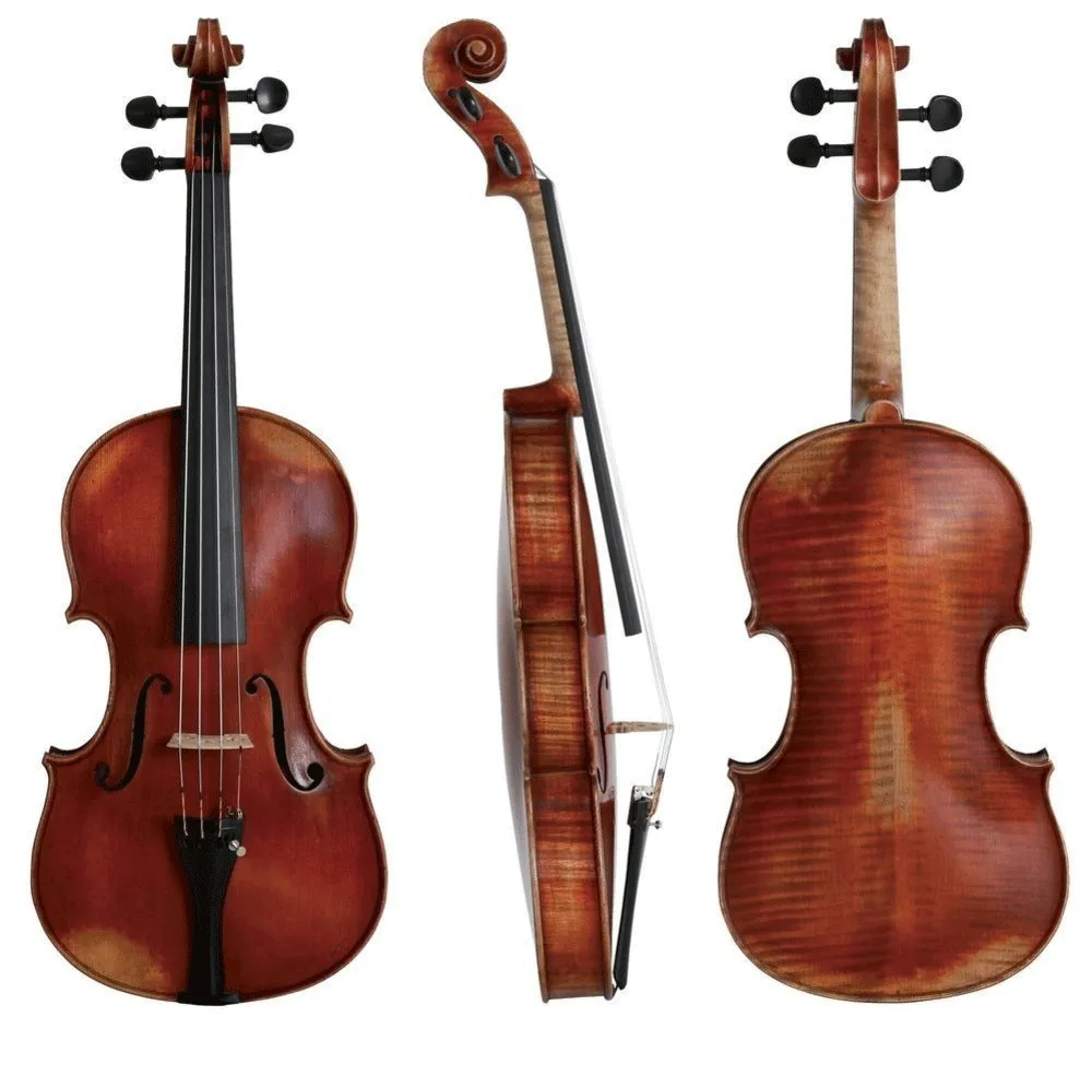 Walther 11 Gewa Professional Viola with Case